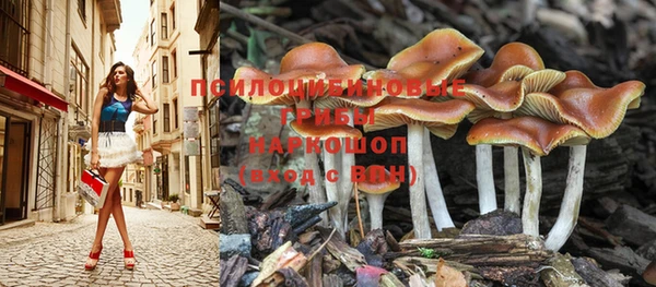 гидропоника Алексин