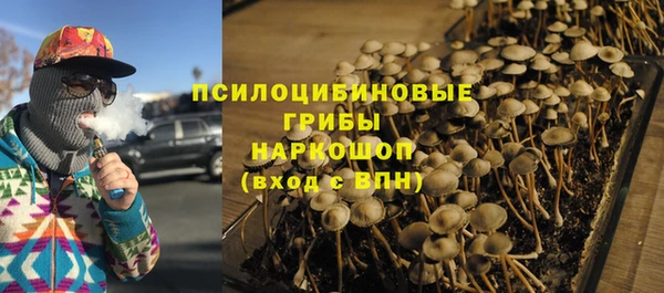 кокс Аркадак