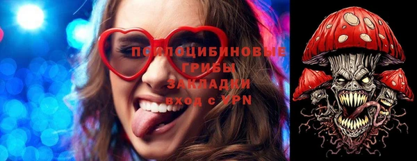 PSILOCYBIN Алексеевка