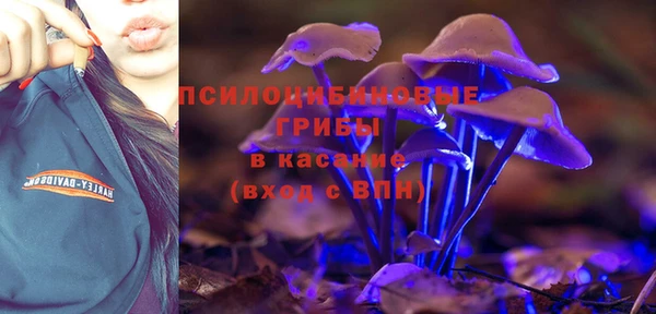 сатива Алзамай