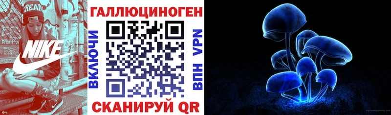Псилоцибиновые грибы Psilocybe  Катав-Ивановск 